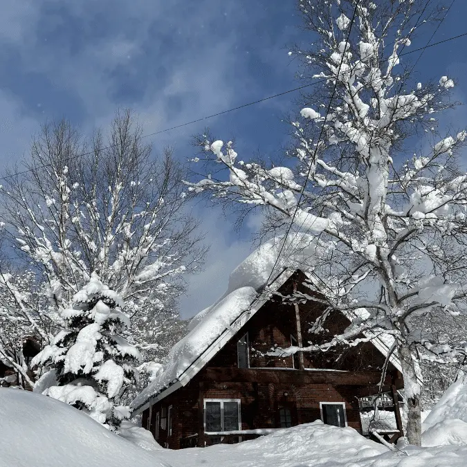 Snowy scene of a Japanese ski lodge surrounded by snowy trees