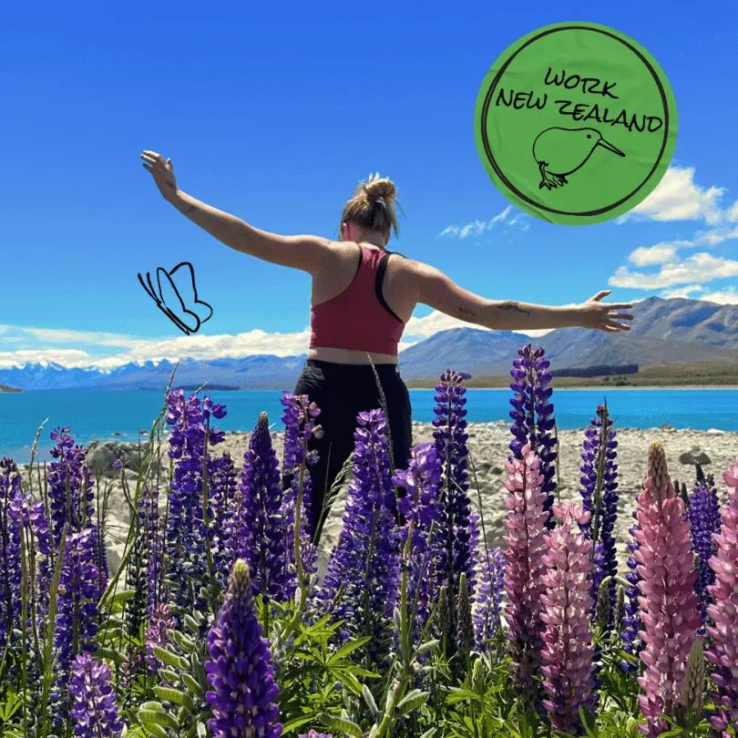 Purple flowers and mountain views in New Zealand