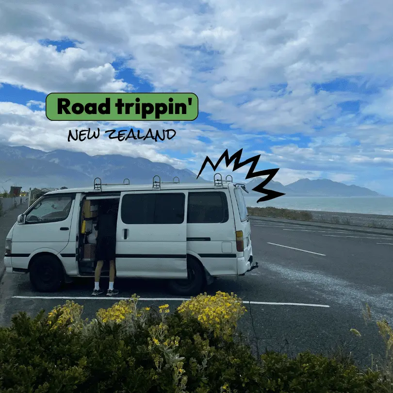 New Zealand van life views