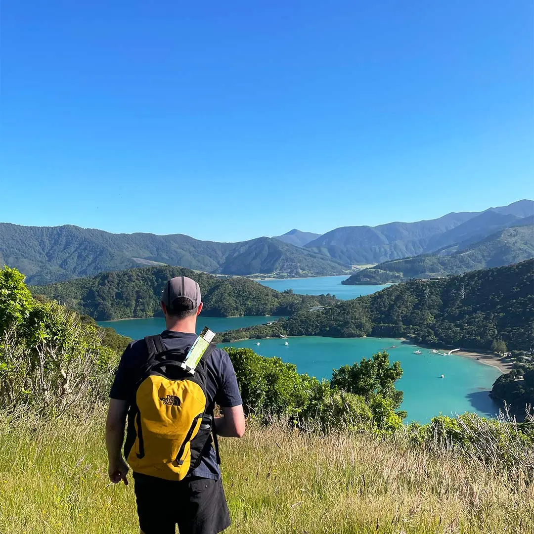 Guy looks out over tropical island