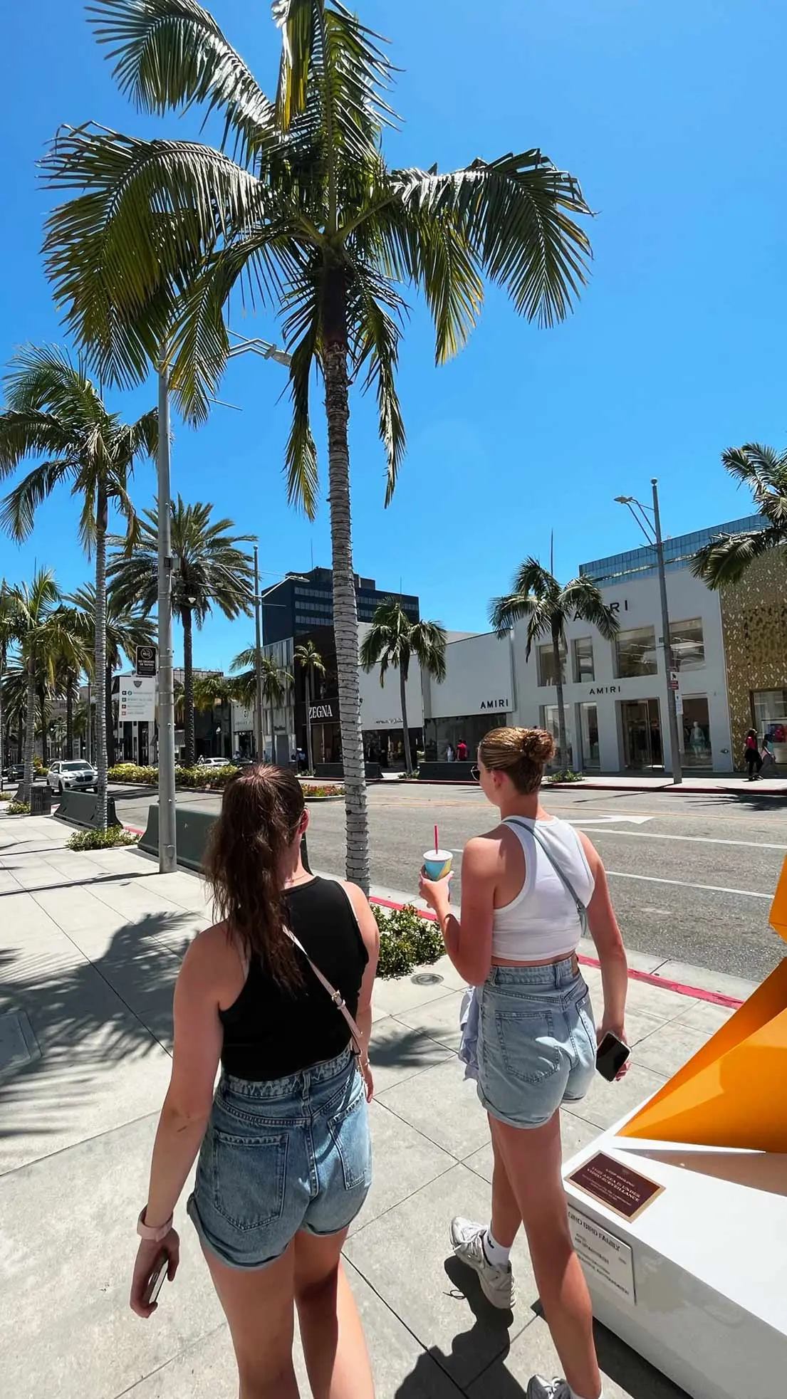 Girls walk down street in LA with palm tree