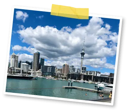 Media Image - Auckland.png