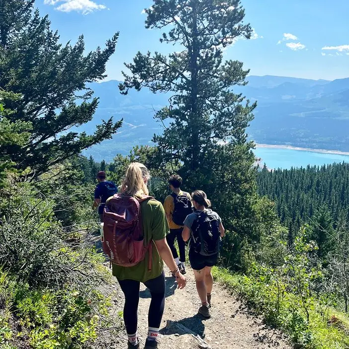 People hiking downhill on sunny day