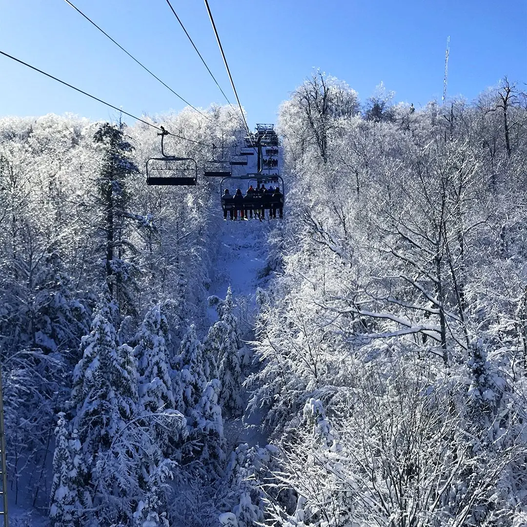 People sitting on ski lift surrounded by snow-covered trees