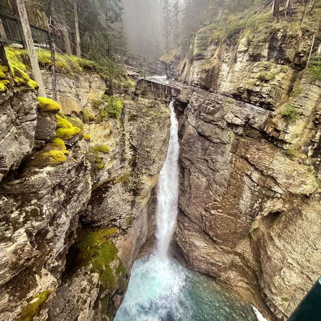 waterfall in woodland area